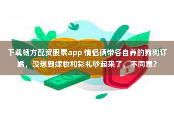 下载杨方配资股票app 情侣俩带各自养的狗狗订婚，没想到嫁妆和彩礼吵起来了，不同意？