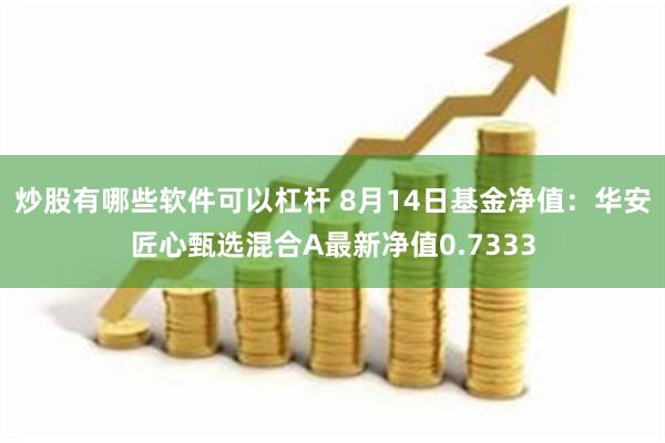 炒股有哪些软件可以杠杆 8月14日基金净值：华安匠心甄选混合A最新净值0.7333