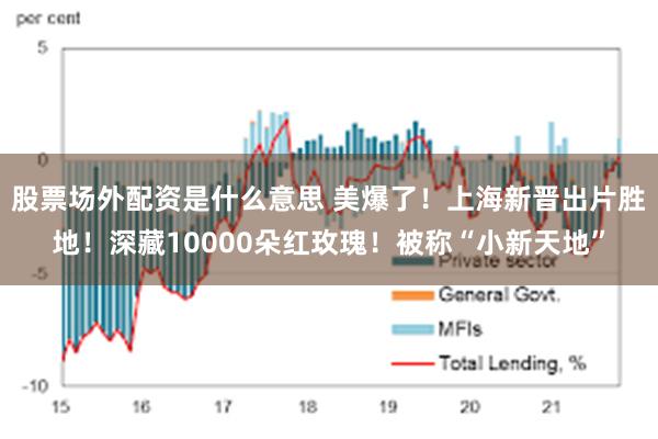 股票场外配资是什么意思 美爆了！上海新晋出片胜地！深藏10000朵红玫瑰！被称“小新天地”