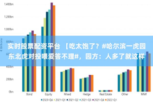 实时股票配资平台 【吃太饱了？#哈尔滨一虎园东北虎对投喂爱答不理#，园方：人多了就这样