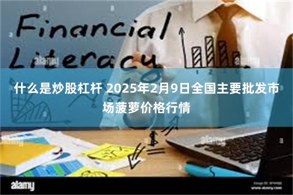 什么是炒股杠杆 2025年2月9日全国主要批发市场菠萝价格行情