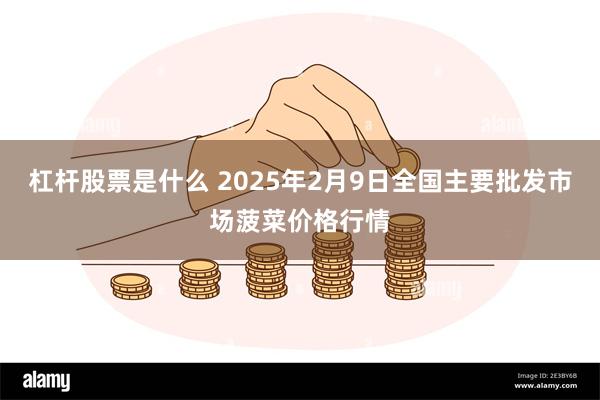 杠杆股票是什么 2025年2月9日全国主要批发市场菠菜价格行情