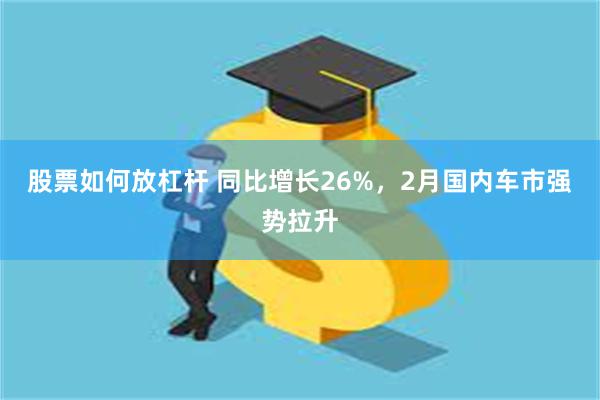 股票如何放杠杆 同比增长26%，2月国内车市强势拉升